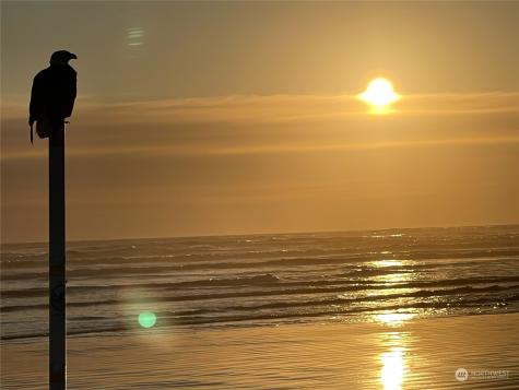 381 Ocean Shores Boulevard NW Ocean Shores WA 98569