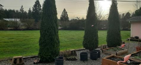 2725 E Fir Street Mount Vernon WA 98273