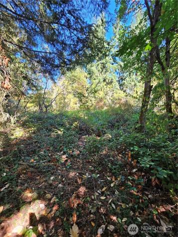 3225 41st Street NE Tacoma WA 98422