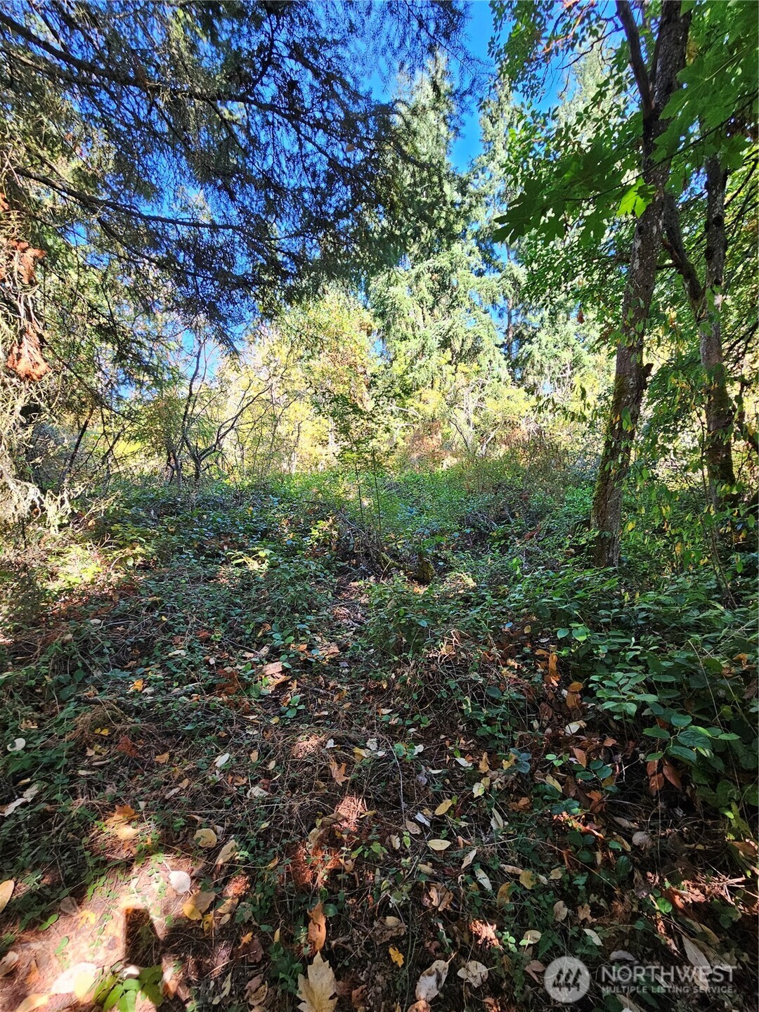3225 41st Street NE Tacoma WA 98422