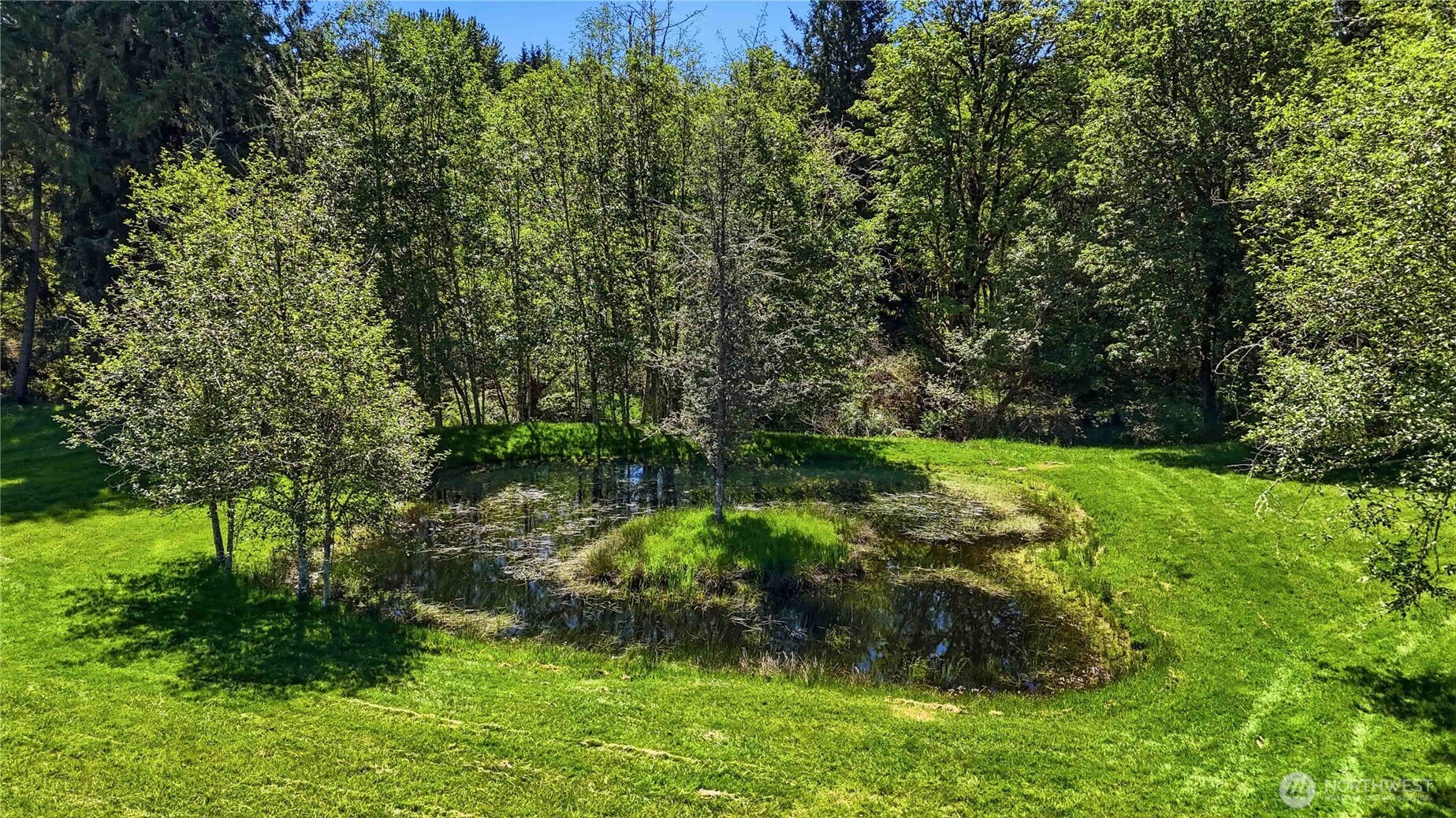 359 Frank Smith Road Toutle WA 98649