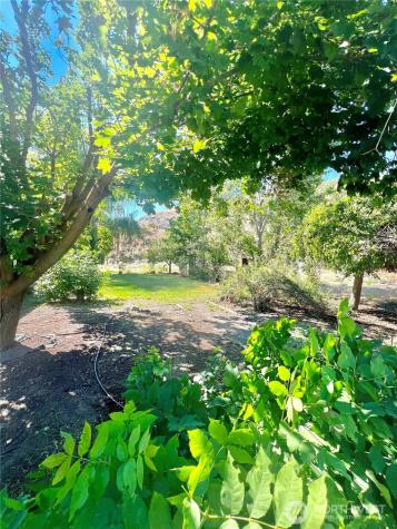 271 Highway 20 Tonasket WA 98855