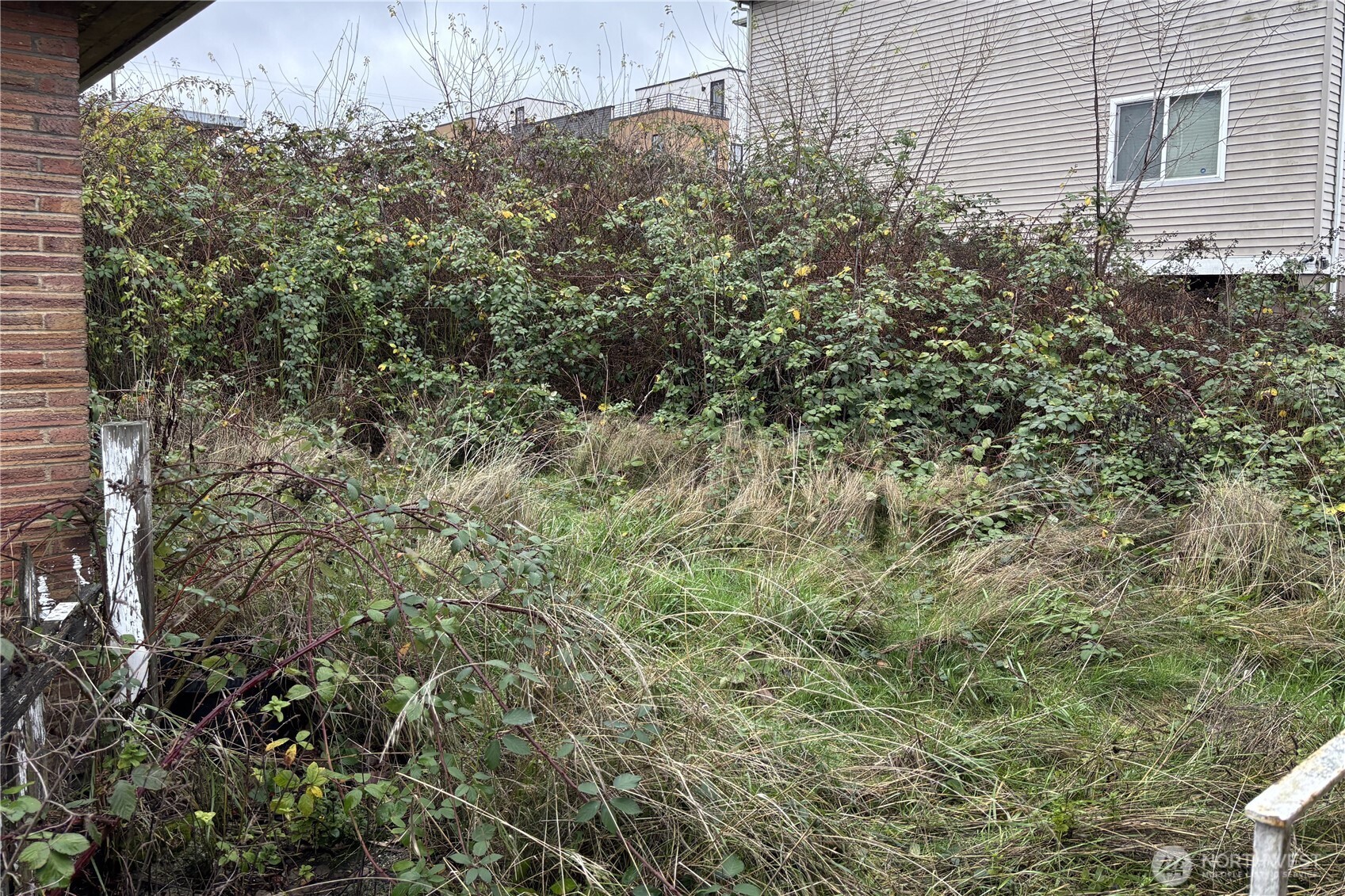 9208 17th Avenue SW Seattle WA 98106