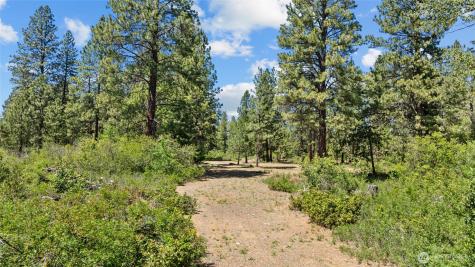301 Quail Valley Road Cle Elum WA 98922