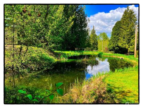 26748 Old Day Creek Road Sedro Woolley WA 98284