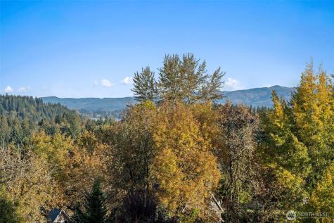 108 Lake Terrace Drive Mossyrock WA 98564