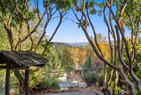 108 Lake Terrace Drive Mossyrock WA 98564