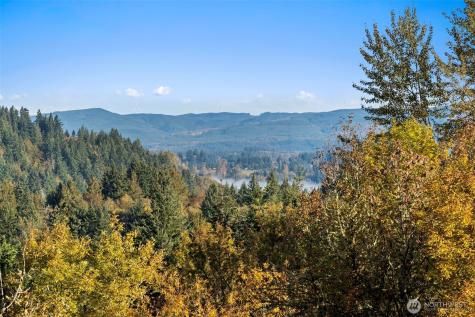 108 Lake Terrace Drive Mossyrock WA 98564