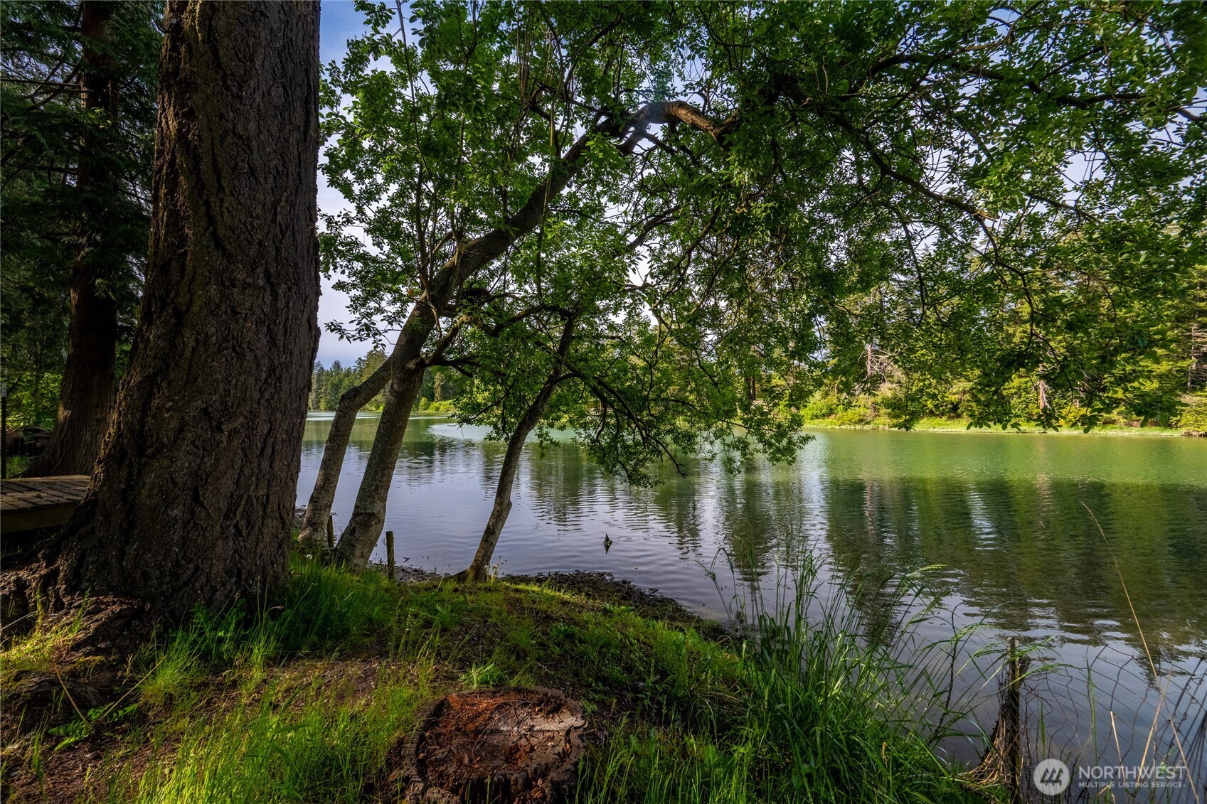 4556 California Trail Birch Bay WA 98230