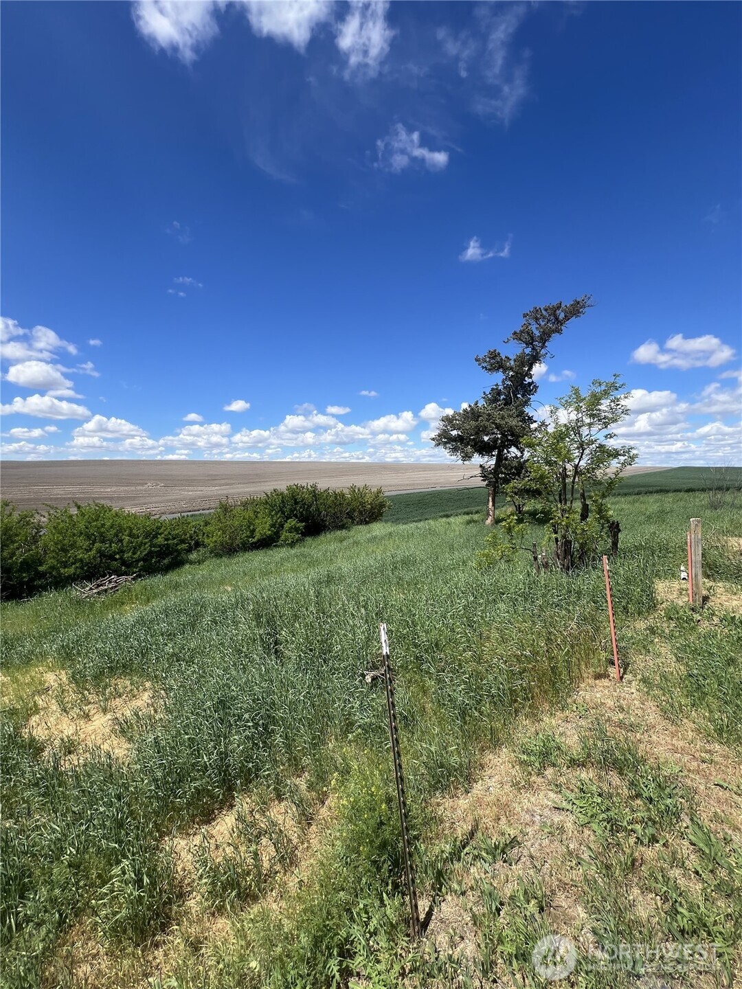 1225 Marcellus Road Ritzville WA 99169