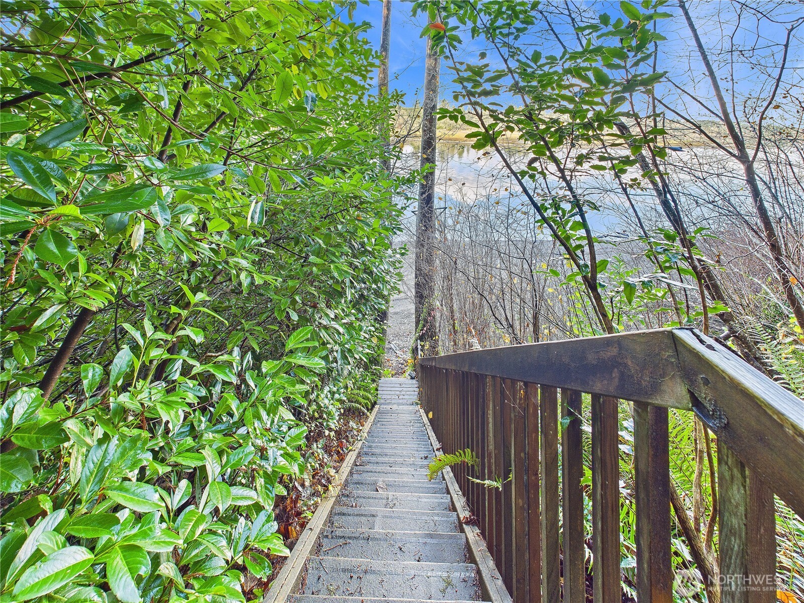 1341 E Beaver Avenue Shelton WA 98584