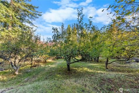 27193 State Route 20 Oak Harbor WA 98277