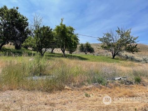 46 Siwash Creek Road Tonasket WA 98855