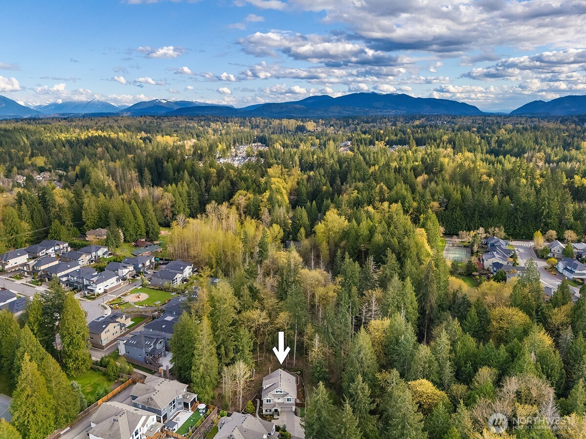 23959 NE 25th Street Sammamish WA 98074