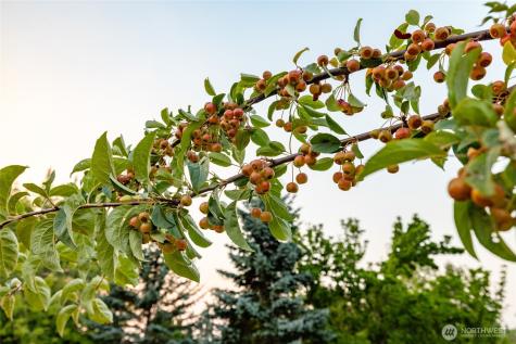 11334 Farm To Market Road Mount Vernon WA 98273