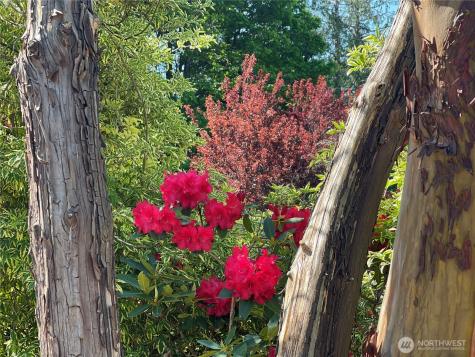 1988 Cascade View Drive Camano Island WA 98282