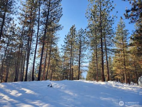 5 Chase Road S Winthrop WA 98862