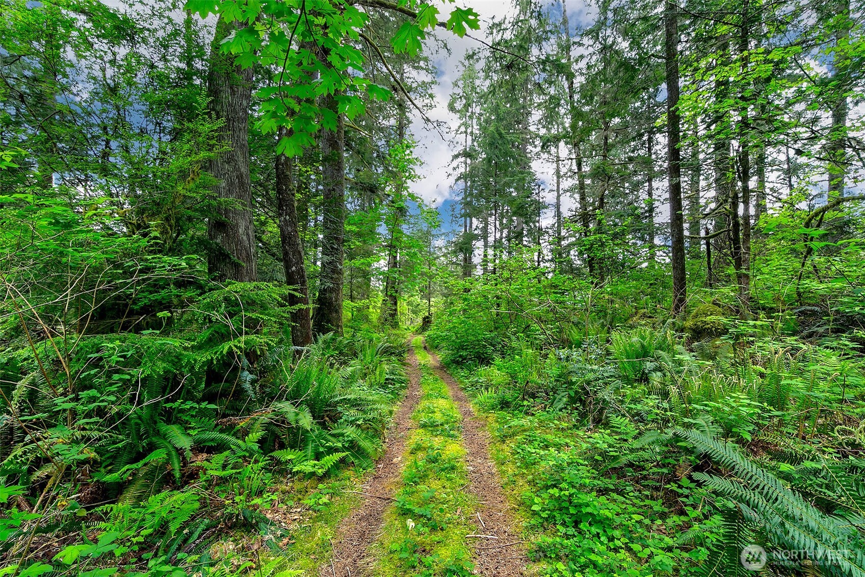 7538 Moon Valley Road SE North Bend WA 98045