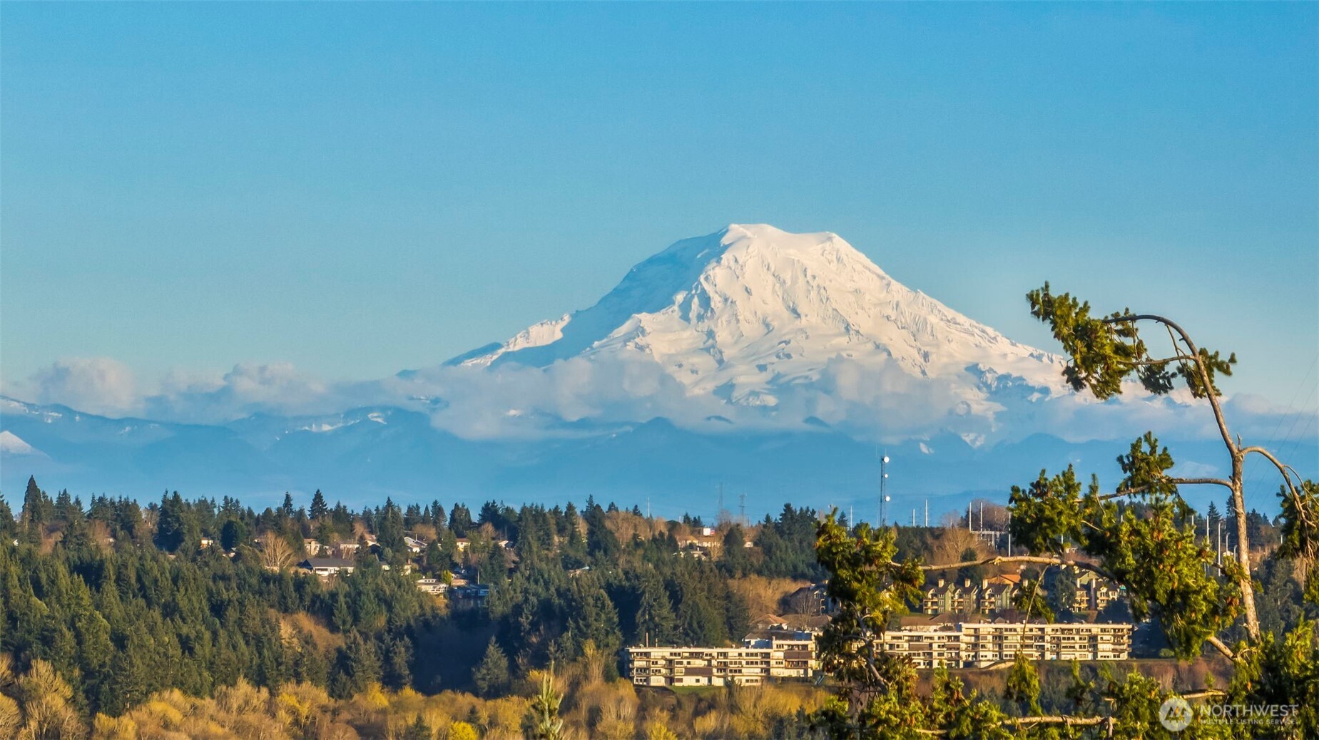3323 9th Avenue Ct NW Gig Harbor WA 98335