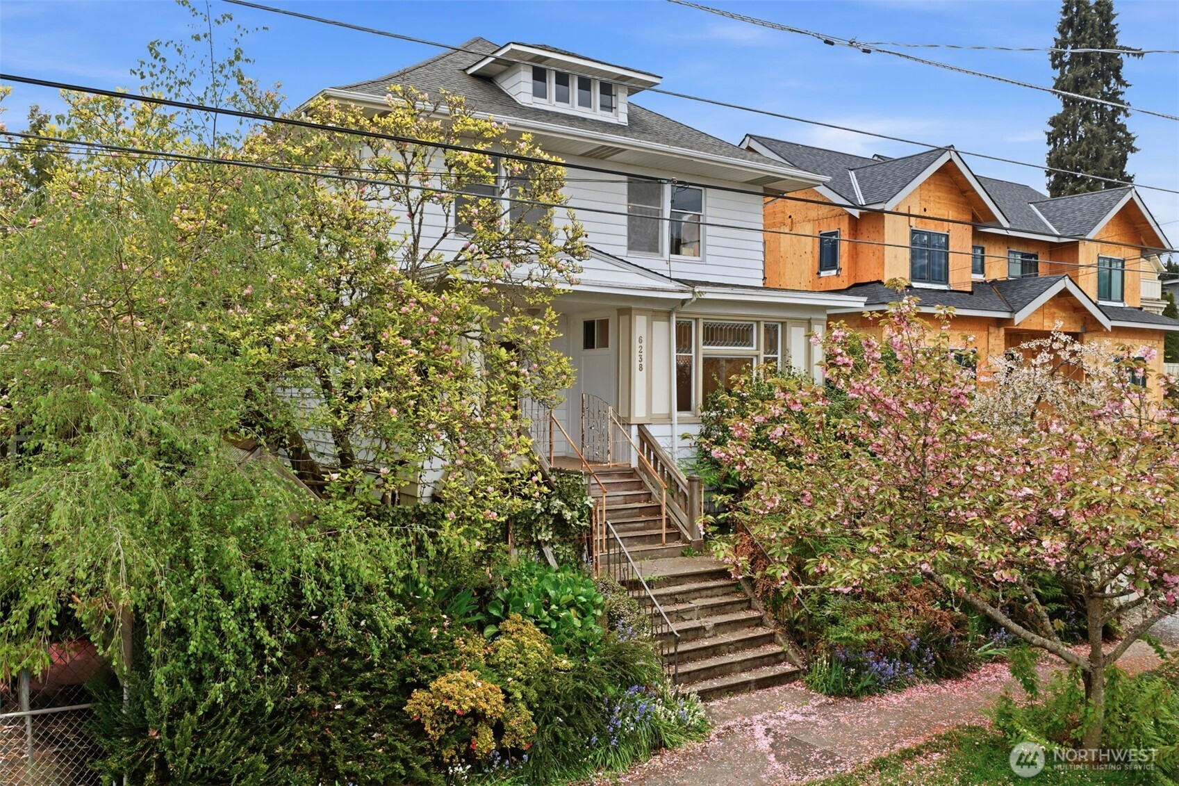 6238 Woodlawn Avenue N Seattle WA 98103
