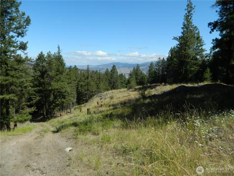 0 Tbd Snowbunny Ridge Drive Tonasket WA 98855