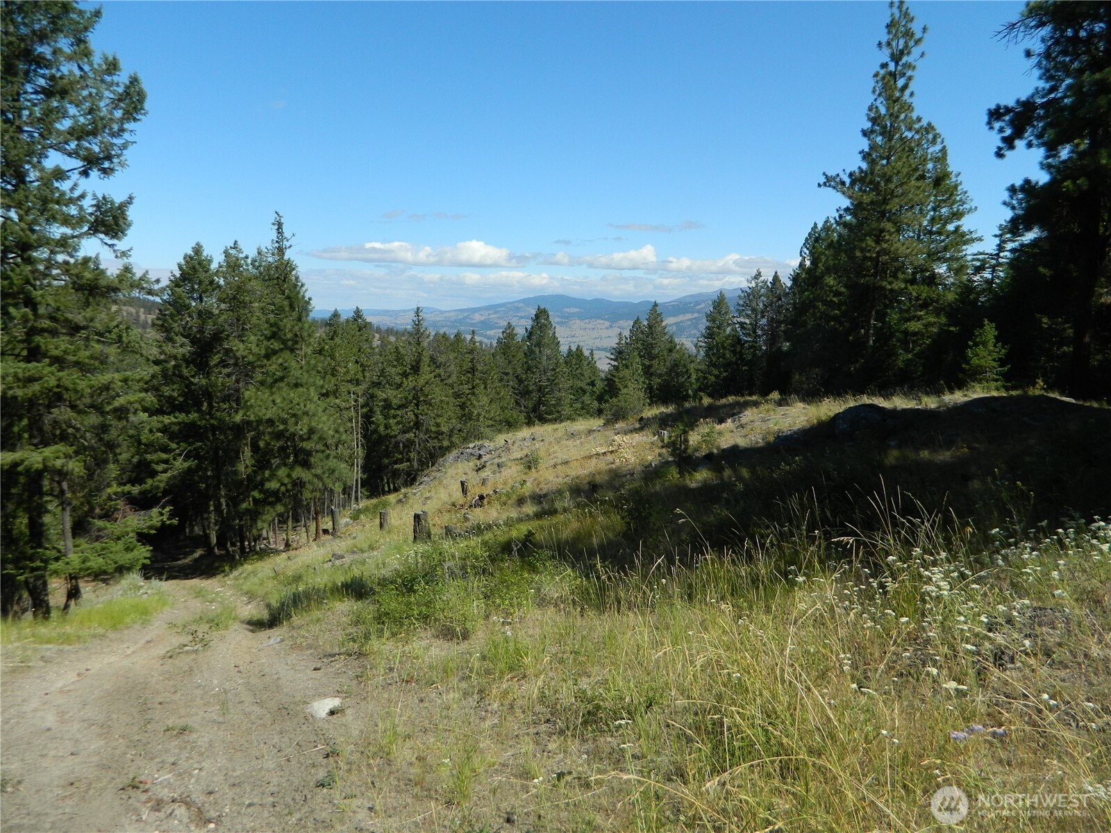0 Tbd Snowbunny Ridge Drive Tonasket WA 98855