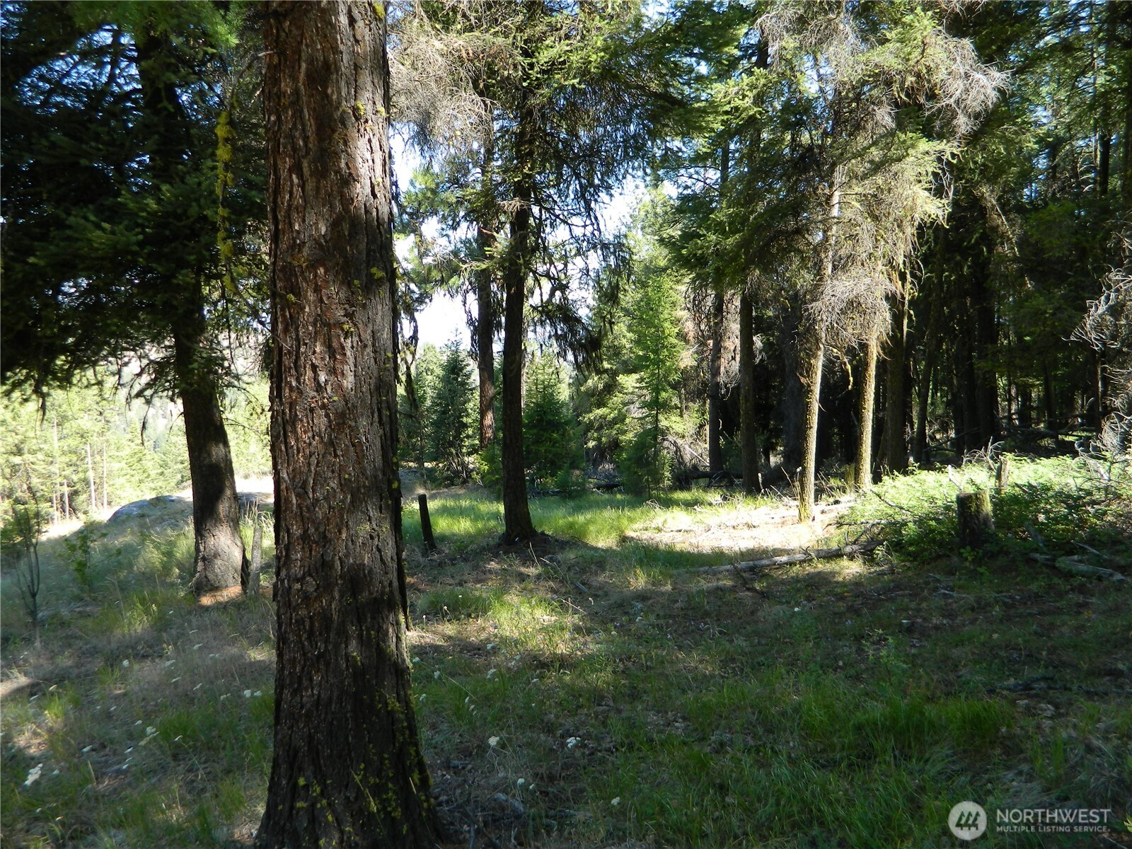 0 Tbd Snowbunny Ridge Drive Tonasket WA 98855