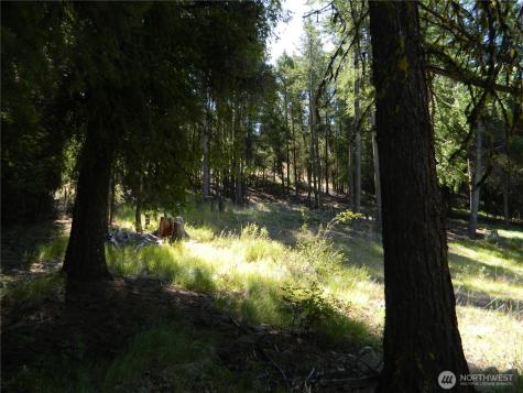 0 Tbd Snowbunny Ridge Drive Tonasket WA 98855