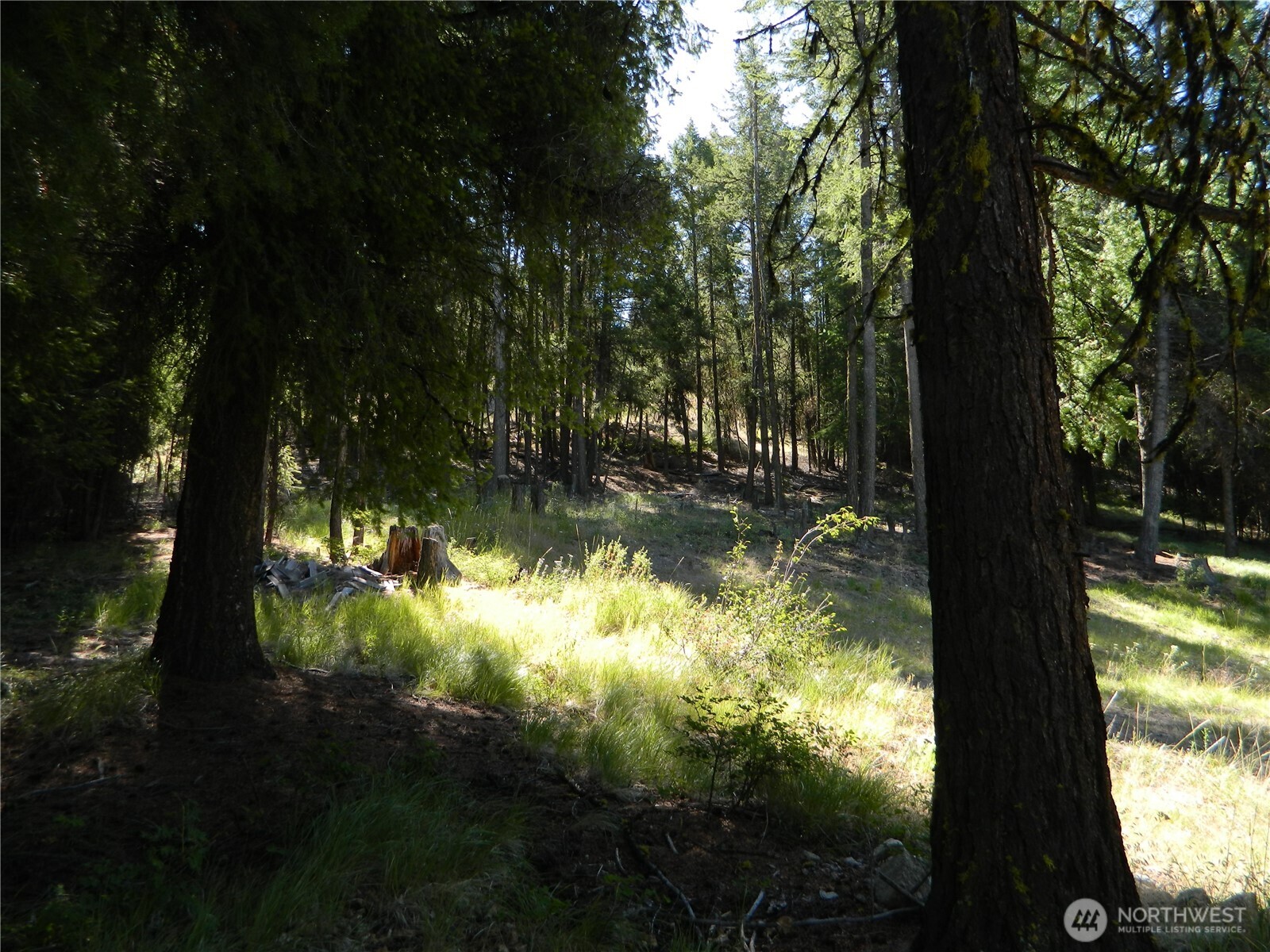 0 Tbd Snowbunny Ridge Drive Tonasket WA 98855