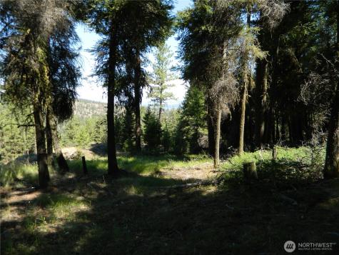0 Tbd Snowbunny Ridge Drive Tonasket WA 98855