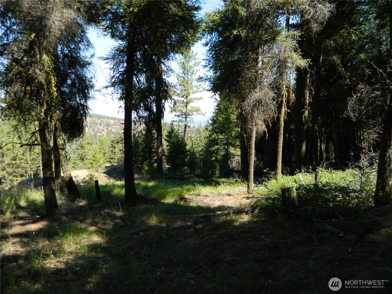0 Tbd Snowbunny Ridge Drive Tonasket WA 98855