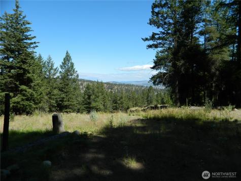 0 Tbd Snowbunny Ridge Drive Tonasket WA 98855