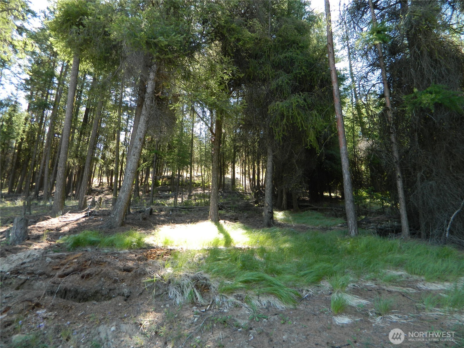 0 Tbd Snowbunny Ridge Drive Tonasket WA 98855