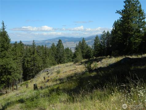 0 Tbd Snowbunny Ridge Drive Tonasket WA 98855