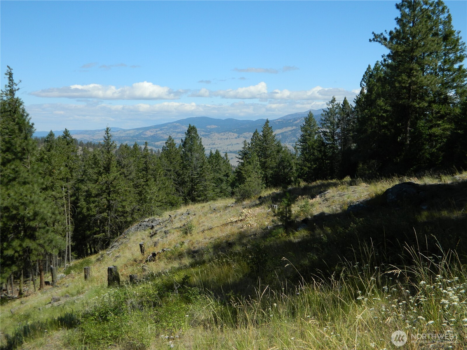 0 Tbd Snowbunny Ridge Drive Tonasket WA 98855