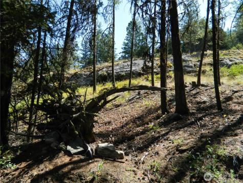 0 Tbd Snowbunny Ridge Drive Tonasket WA 98855