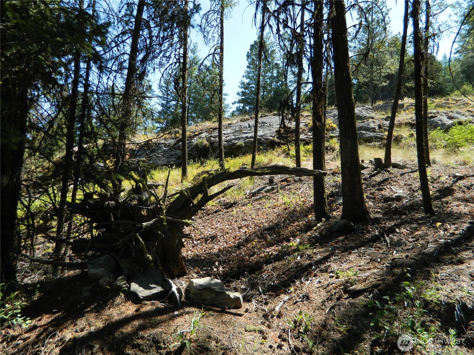 0 Tbd Snowbunny Ridge Drive Tonasket WA 98855