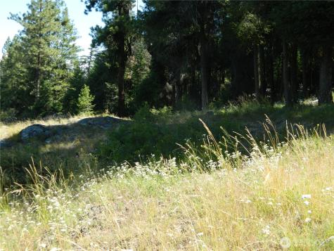 0 Tbd Snowbunny Ridge Drive Tonasket WA 98855