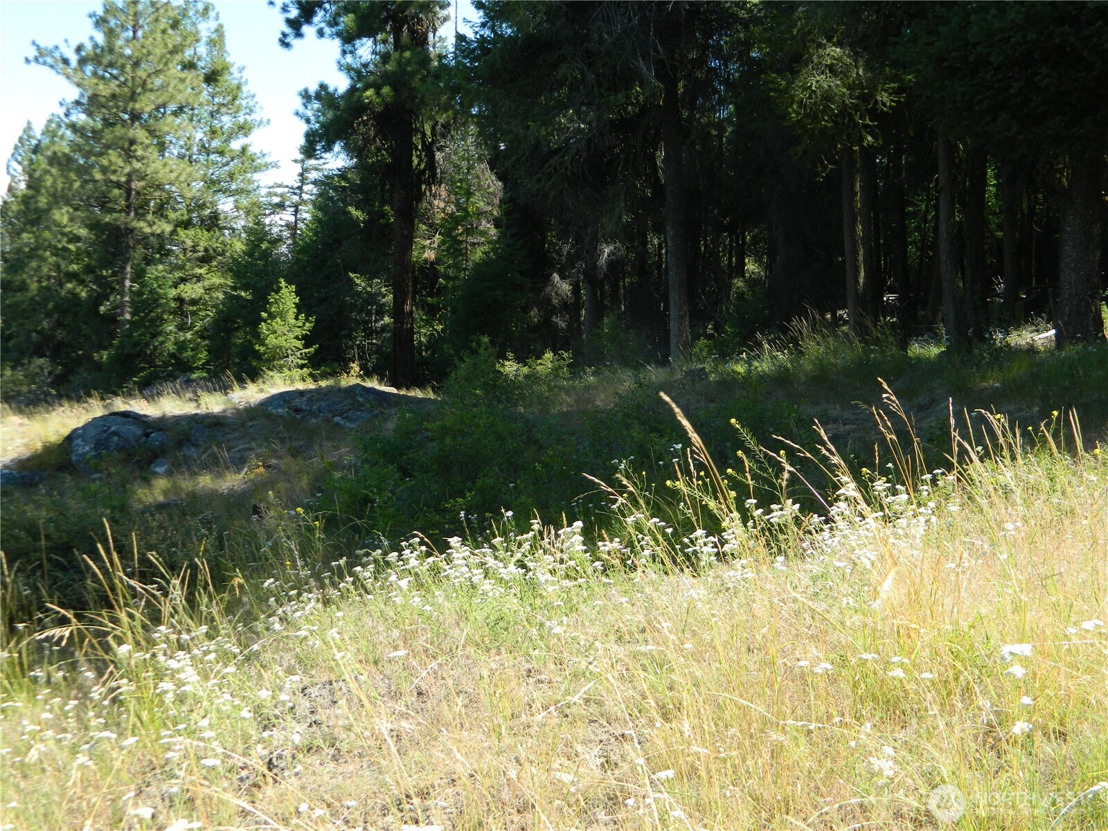 0 Tbd Snowbunny Ridge Drive Tonasket WA 98855