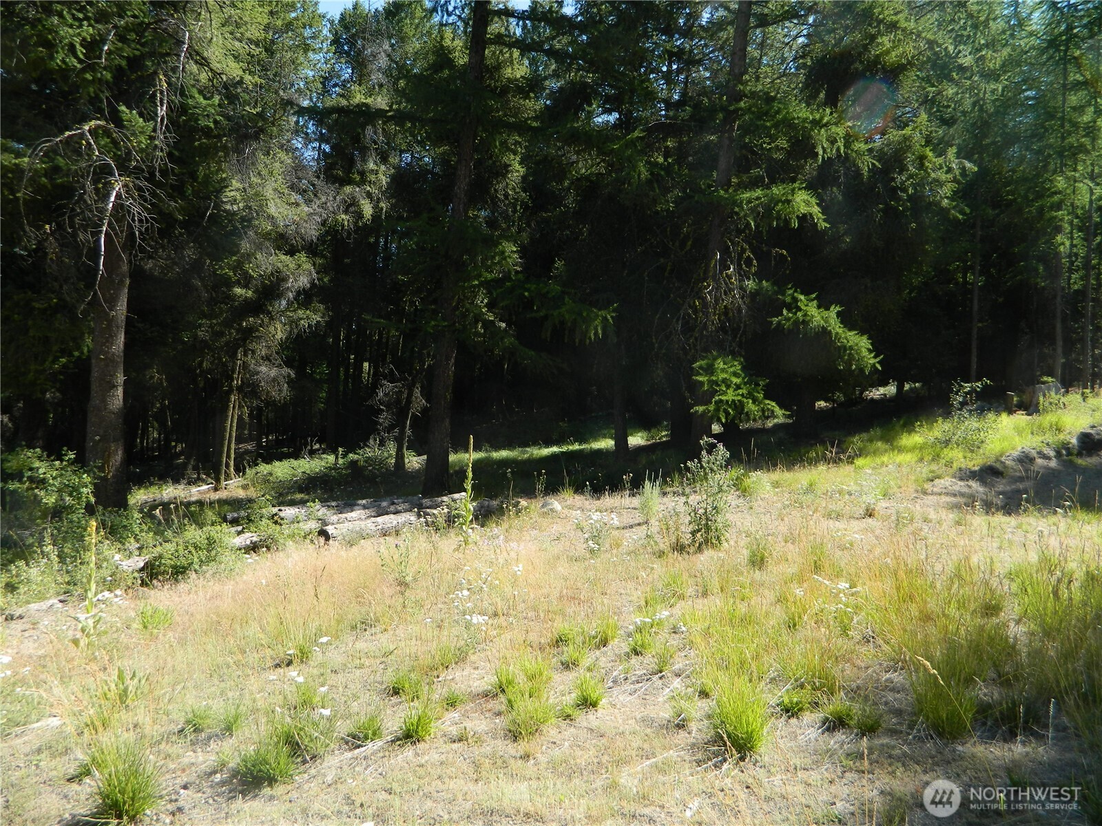 0 Tbd Snowbunny Ridge Drive Tonasket WA 98855