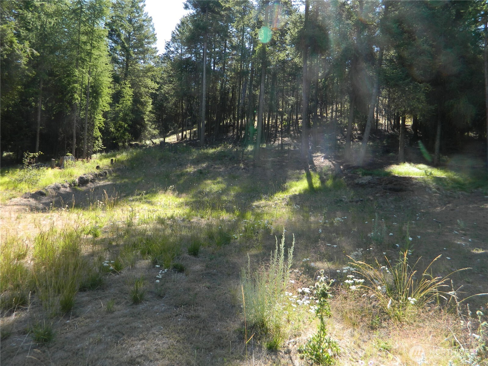 0 Tbd Snowbunny Ridge Drive Tonasket WA 98855