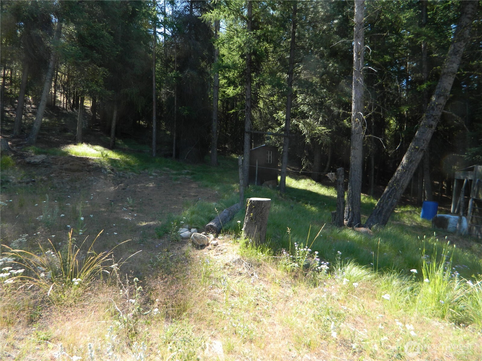 0 Tbd Snowbunny Ridge Drive Tonasket WA 98855