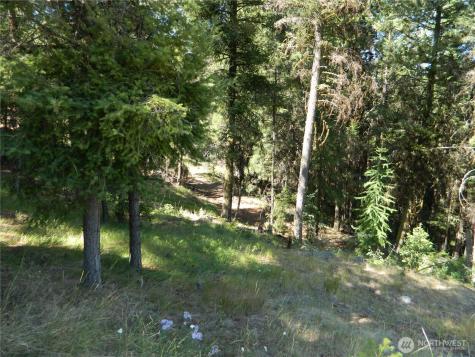0 Tbd Snowbunny Ridge Drive Tonasket WA 98855