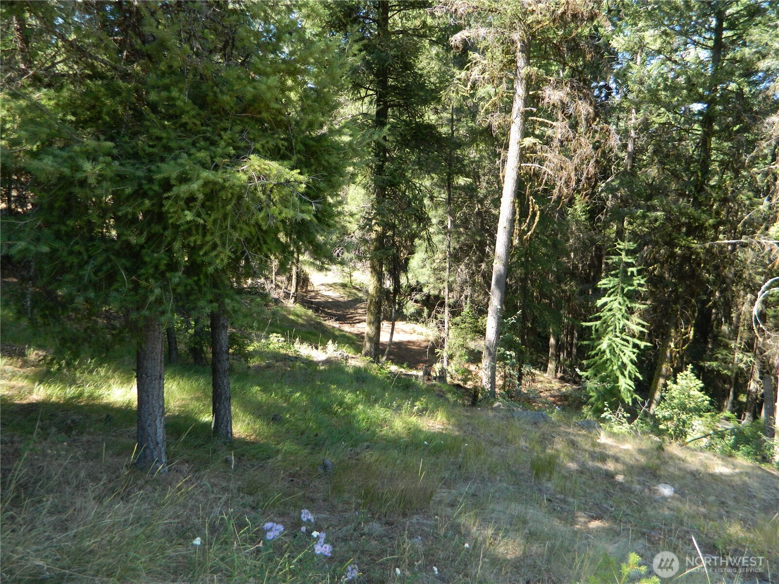 0 Tbd Snowbunny Ridge Drive Tonasket WA 98855