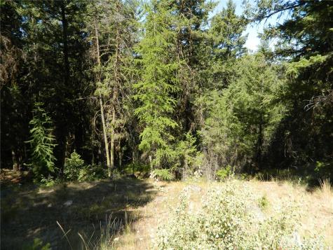 0 Tbd Snowbunny Ridge Drive Tonasket WA 98855