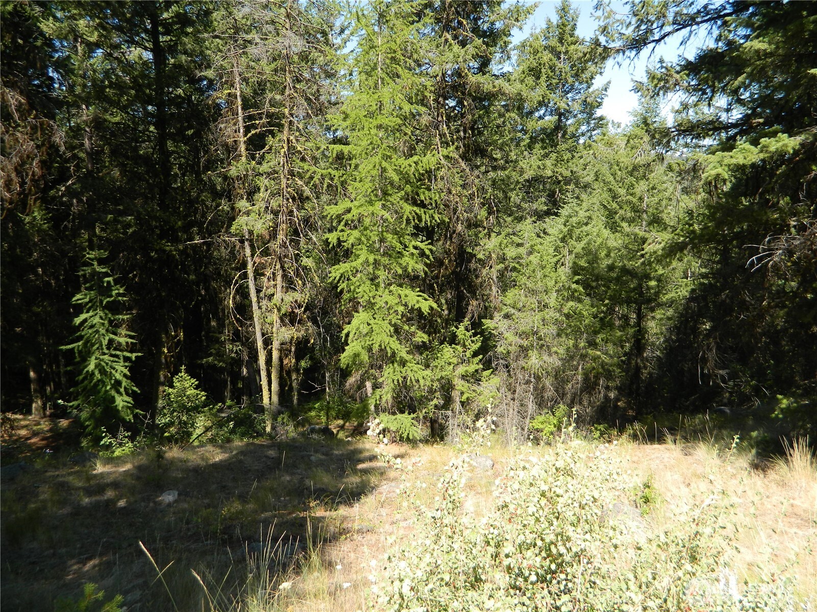 0 Tbd Snowbunny Ridge Drive Tonasket WA 98855