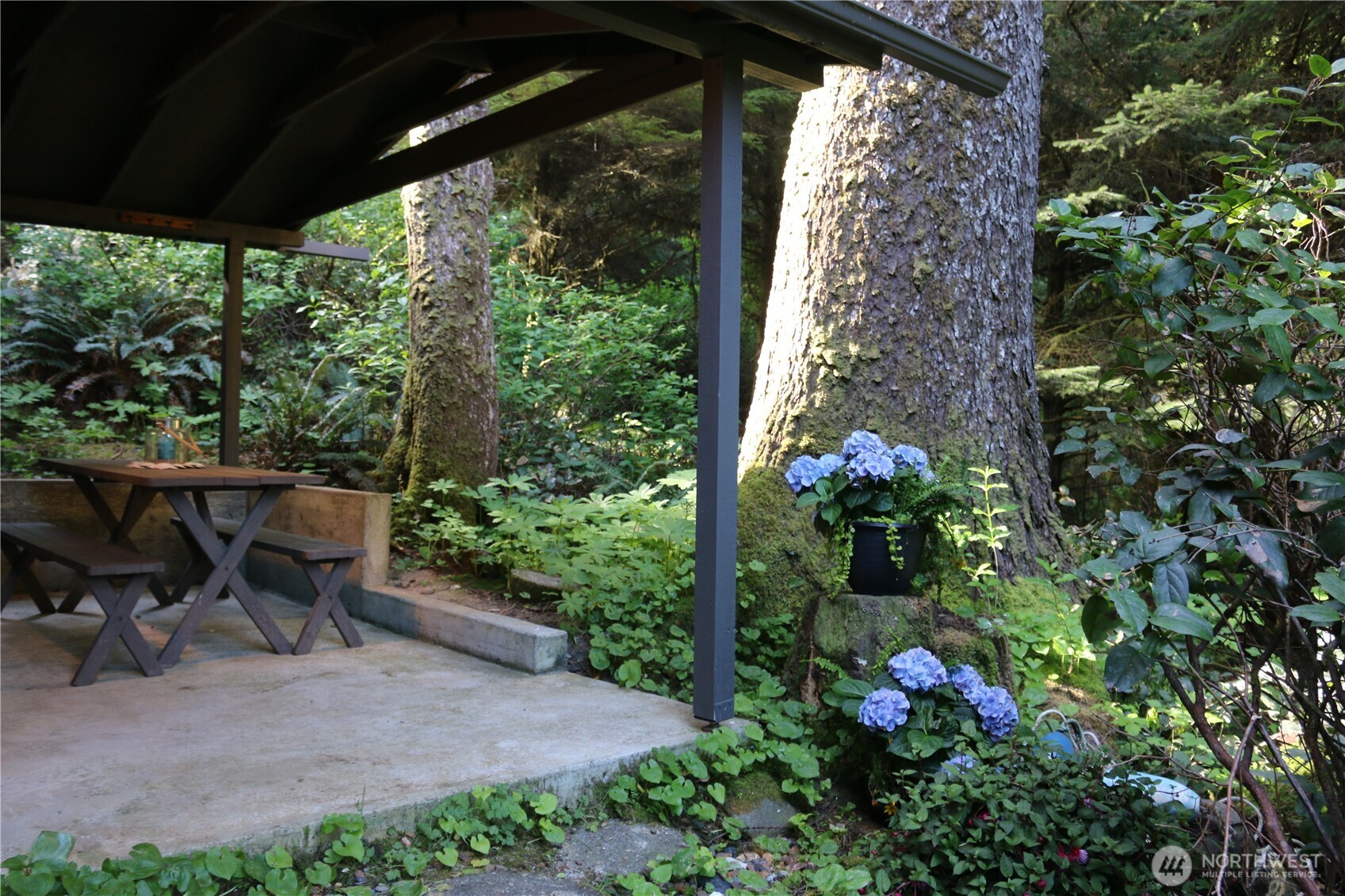 65 Marilyn Lane Copalis Beach WA 98535