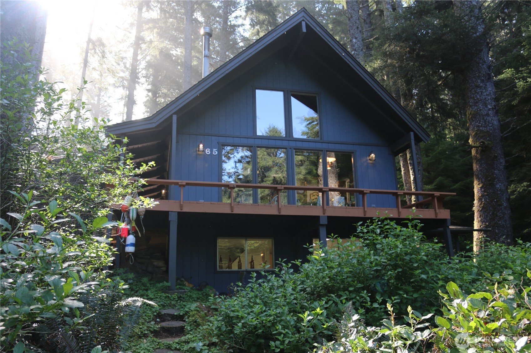 65 Marilyn Lane Copalis Beach WA 98535
