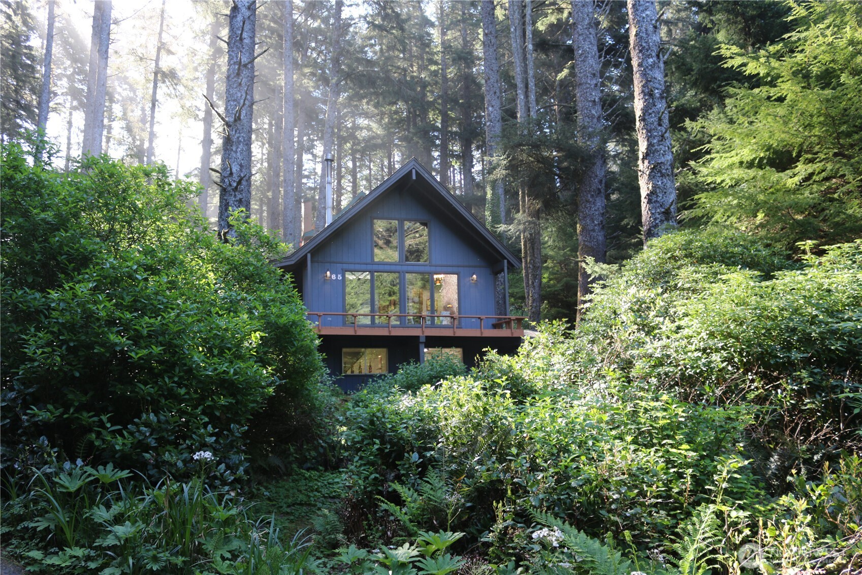 65 Marilyn Lane Copalis Beach WA 98535
