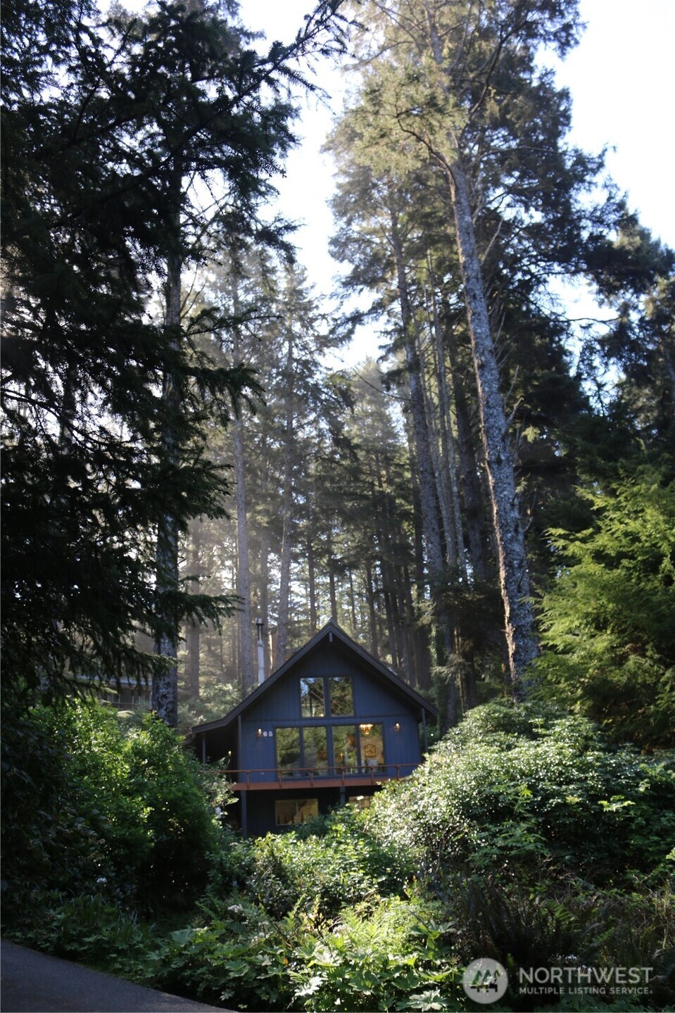 65 Marilyn Lane Copalis Beach WA 98535